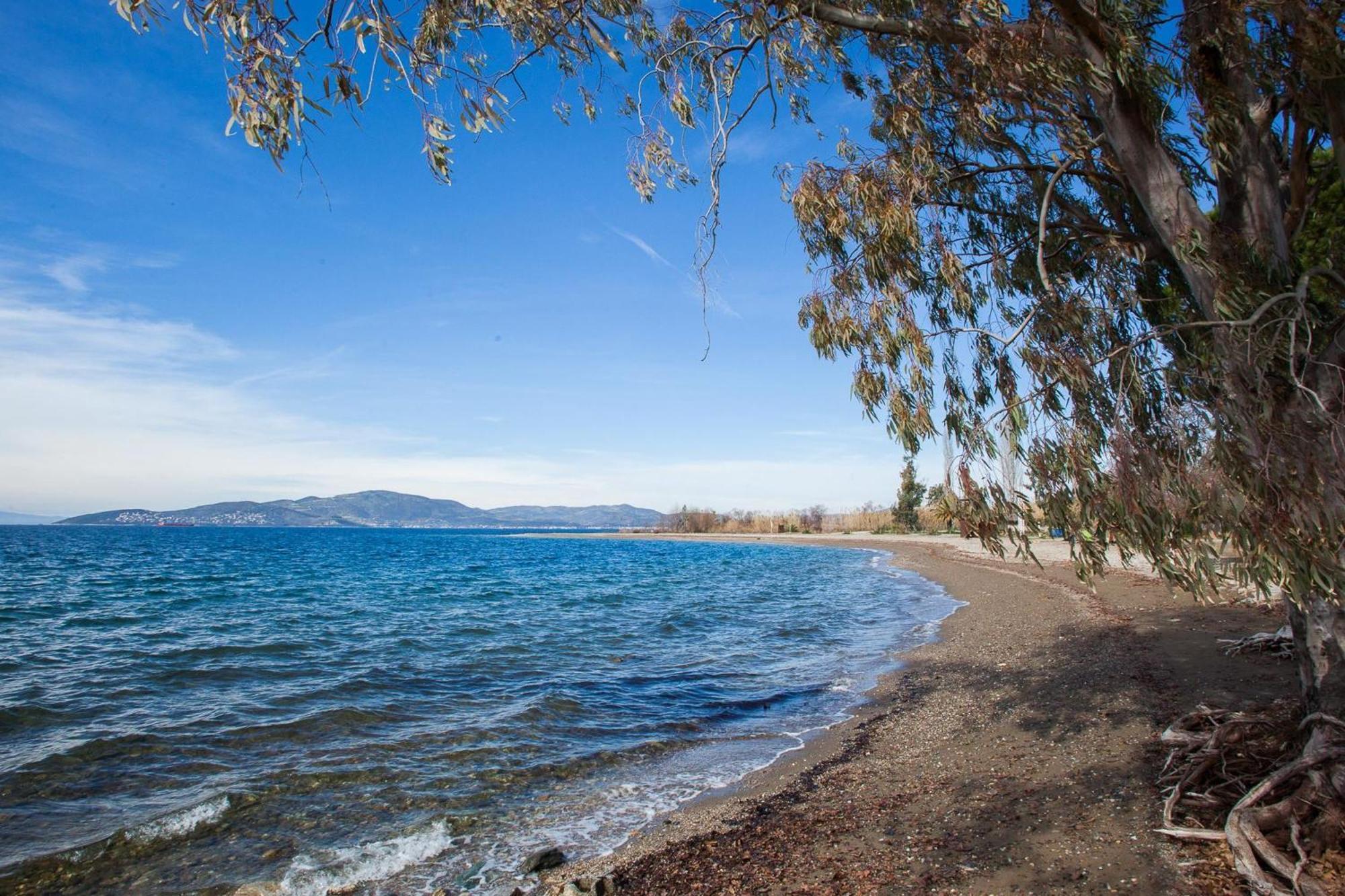 Káto Lekhónia Karnagio Seafront In Agria 빌라 외부 사진